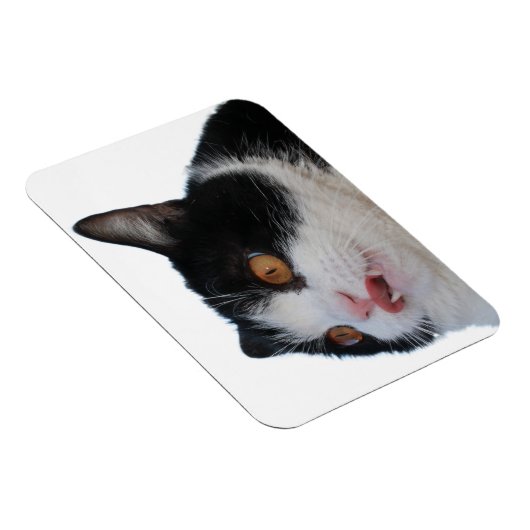 ポキー磁石 マグネット (右側)