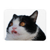 ポキー磁石 マグネット (横)