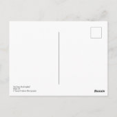 ポケウィード植物の北モッキンバード ポストカード (裏面)