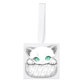 ポケットからよくはしゃぐかわいい猫 キューブオーナメント (正面)