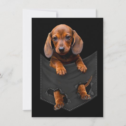 ポケットにダックスフンド ダックスフンド ウィーナードッグ ギフト 招待状 (正面)