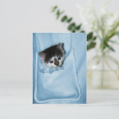 ポケットに入った子猫 ポストカード (スタンド正面)