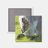 ポケットの中でジョーイ マグネット (正面/裏面)