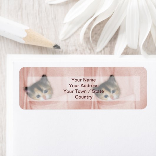 ポケットの子猫2 ラベル (インサイチュ)