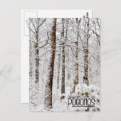 ポコノスからのご挨拶!スノーウィーポコノウッドランズ ポストカード (正面/裏面)