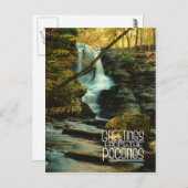 ポコノスからの挨拶！フルマー秋 ポストカード (正面/裏面)