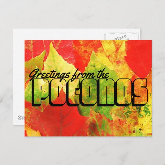 ポコノスのカラフル離れ挨拶 ポストカード (正面/裏面)