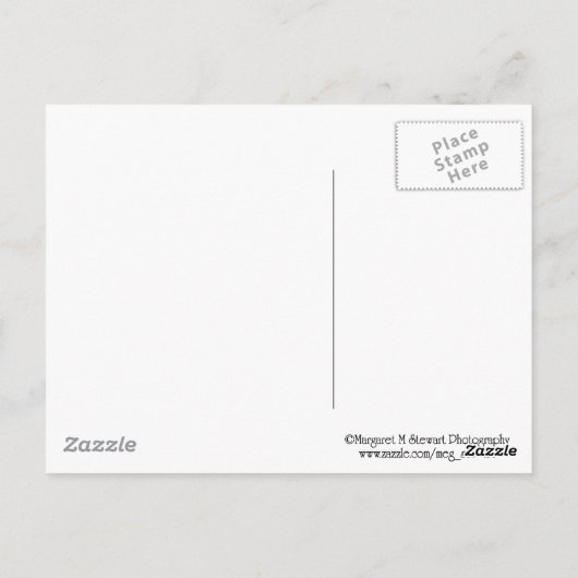 ポコノスのカラフル離れ挨拶 ポストカード (裏面)