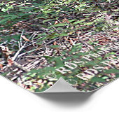 ポコノスのホワイトテールディアープリント0200 ポスター (角)