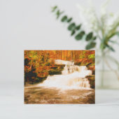 ポコノスの秋 ポストカード (スタンド正面)