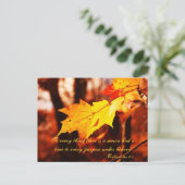 ポコノスポストカードの紅葉 ポストカード (スタンド正面)