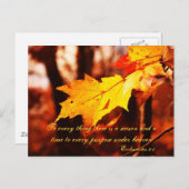 ポコノスポストカードの紅葉 ポストカード (正面/裏面)