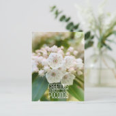 ポコノスマウンテンローレルからの挨拶 ポストカード (スタンド正面)