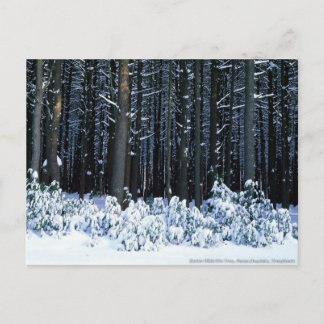 ポコノ山脈。ペンシルバニア ポストカード