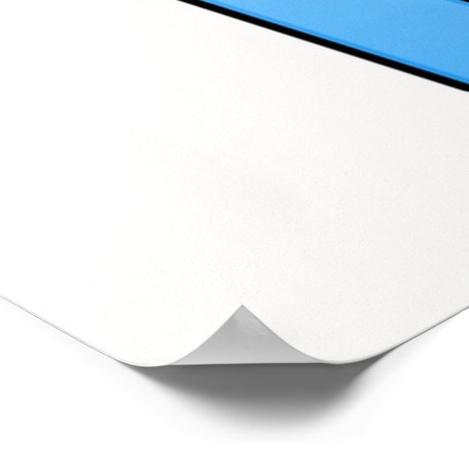 ポコヨおもしろい子供の誕生日10人目の男の子とガールコステ ポスター (角)