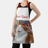 ポジィ・スカーレット エプロン (インサイチュ)