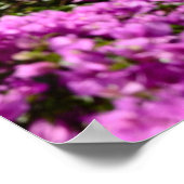 ポジターノポスター ポスター (角)