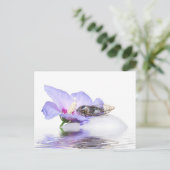 ポスカール – セカダインプロヴァンス ポストカード (スタンド正面)