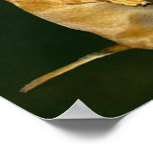 ポスタかわいらしーをたくさん食べに座る ポスター (角)