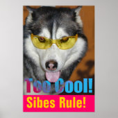 ポスタクールー ポスター (正面)