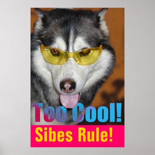 ポスタクールー ポスター (正面)