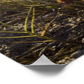 ポスタリラックスート ポスター (角)