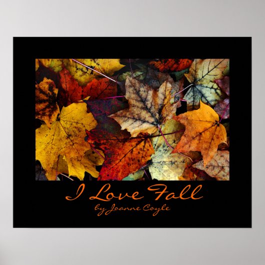 ポスターとプリントオプション ポスター (正面)