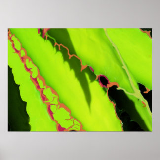 ポスターとプリント ポスター