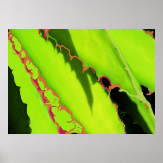 ポスターとプリント ポスター (正面)