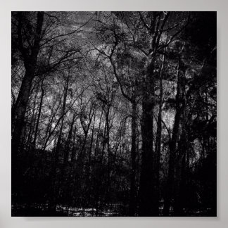 ポスターに黒い森 ポスター