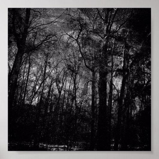 ポスターに黒い森 ポスター (正面)