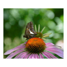 ポスターのブレンド