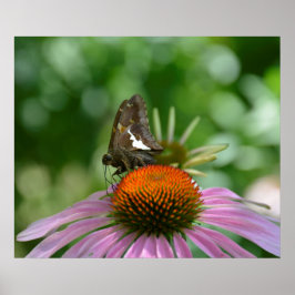 ポスターのブレンド ポスター