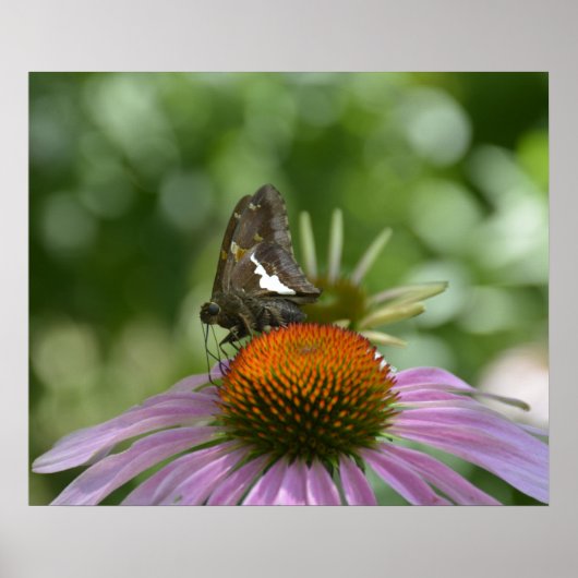 ポスターのブレンド ポスター (正面)