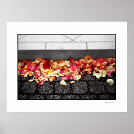 ポスターの上を歩いた地面 ポスター