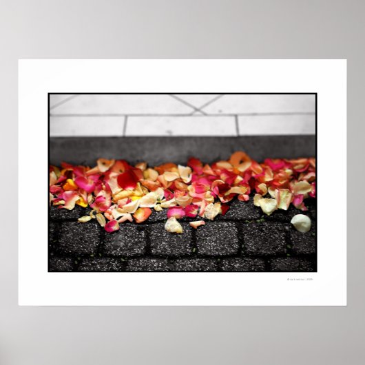 ポスターの上を歩いた地面 ポスター (正面)