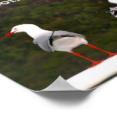 ポスターの両面を見る ポスター (角)