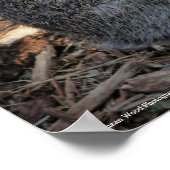 ポスターの匂いを嗅ぐのに時間がかかる ポスター (角)