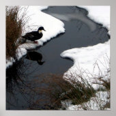 ポスターの反映 ポスター (正面)