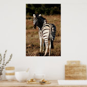 ポスターの後絵画ろのゼブラ ポスター (キッチン)