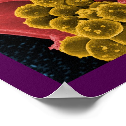 ポスターまたはキャンバスの生物学抽象芸術 ポスター (角)