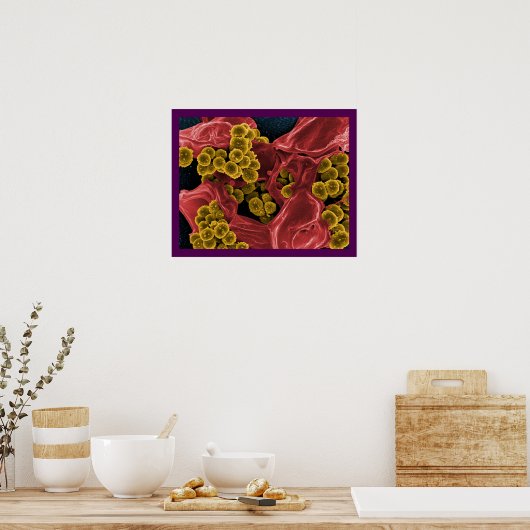 ポスターまたはキャンバスの生物学抽象芸術 ポスター (キッチン)