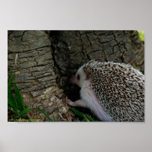 ポスターをチェックする ポスター (正面)