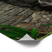 ポスターをチェックする ポスター (角)