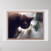 ポスターをチェック ポスター (正面)