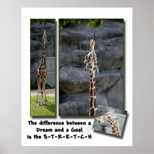 ポスターを広げる ポスター (正面)