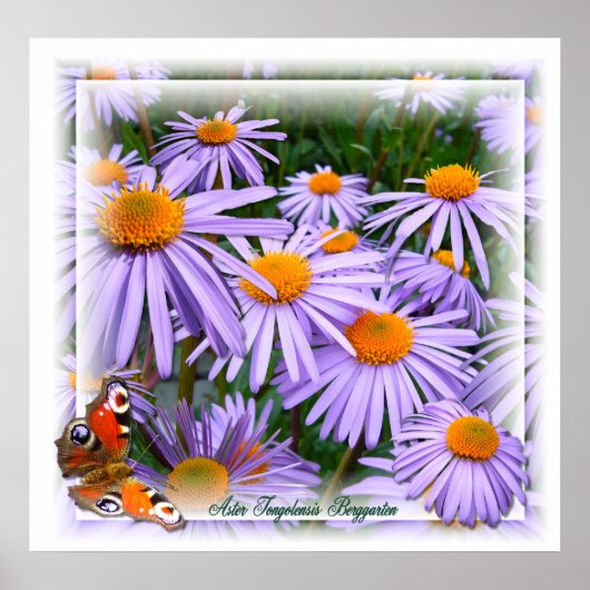 ～ポスターを貼る ポスター (正面)