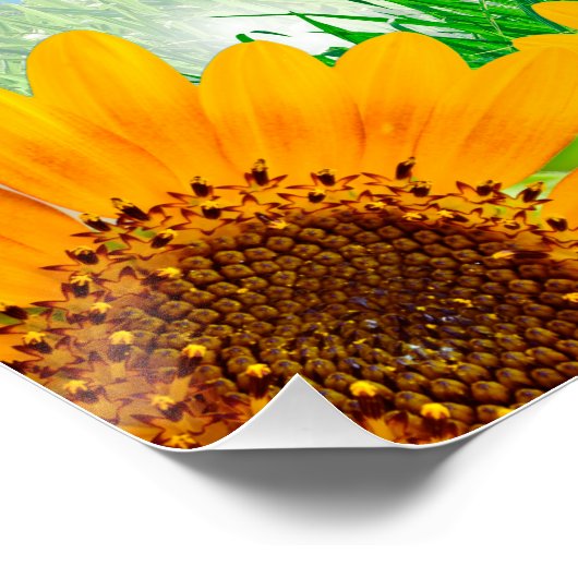 ポスターを貼る ポスター (コーナー)