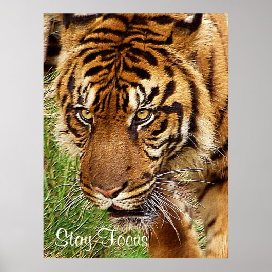 ポスターを_つ集中させる ポスター (正面)