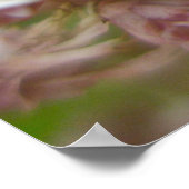 ポスターアイランサスWebworm Moth (Atteva upterla) ポスター (角)